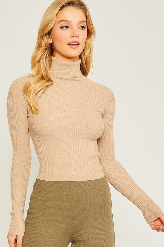 Turtleneck Ribbed Knit Sweater - Premium variable from Tooksie - Just $23.99! Shop now at Tooksie